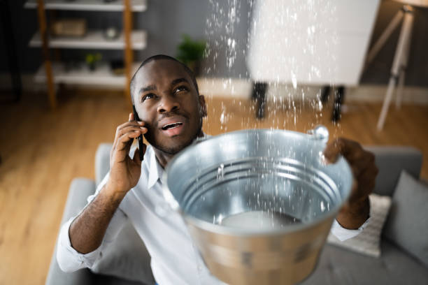Best Water damage restoration company  in Harrisburg, NC