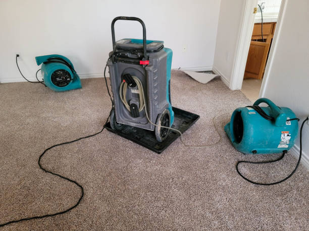 Best Water damage contractors near me  in Harrisburg, NC
