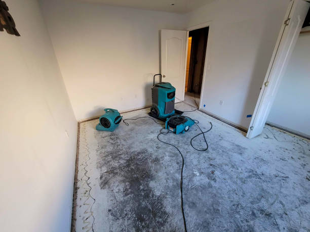 Best 24-hour water damage restoration  in Harrisburg, NC