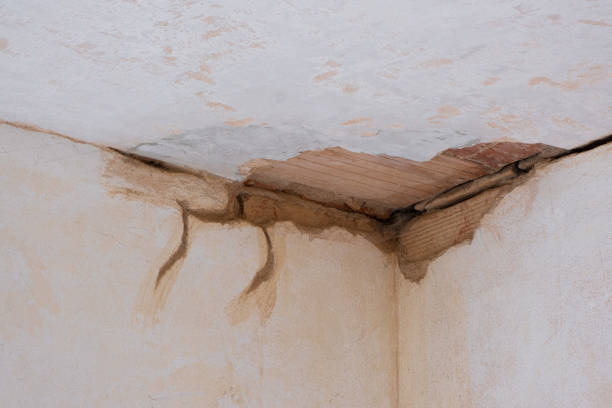 Best Water damage restoration near me  in Harrisburg, NC