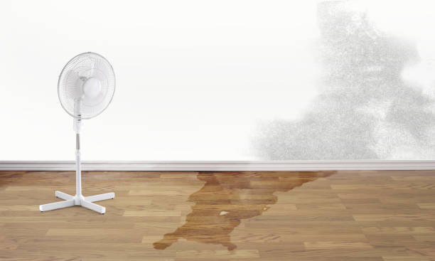 Best Water damage restoration near me  in Harrisburg, NC