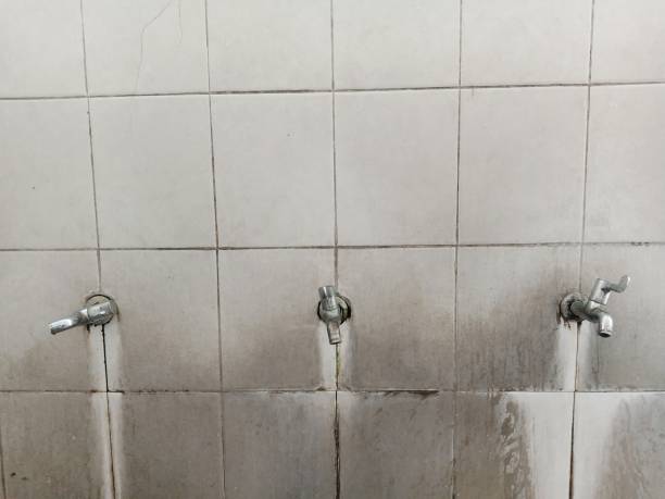 Best Ceiling water damage repair  in Harrisburg, NC