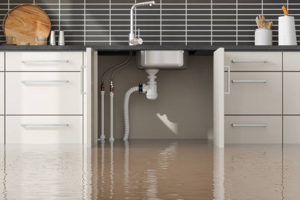 Best Basement water damage restoration  in Harrisburg, NC