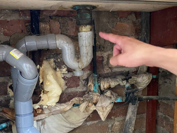 Best Water damage restoration mold remediation  in Harrisburg, NC