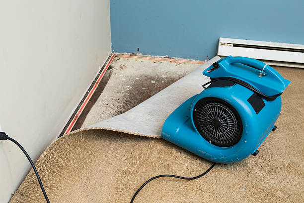 Best 24/7 water damage repair  in Harrisburg, NC